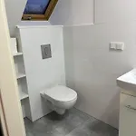 Pod Palacem Koszecin
