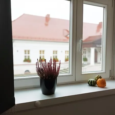 Pod Palacem Koszecin