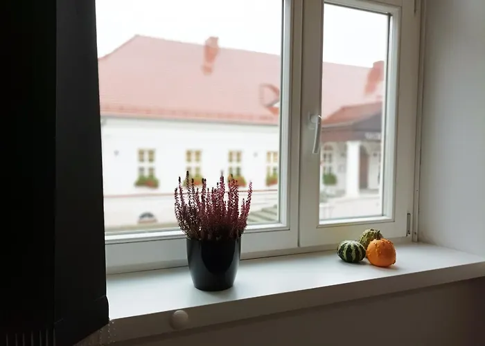 Pod Pałacem Koszecin