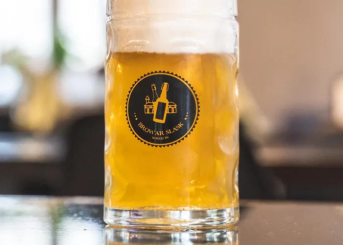 מוטל Pod Palacem *