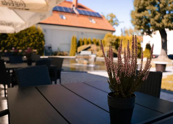 מוטל Pod Palacem *